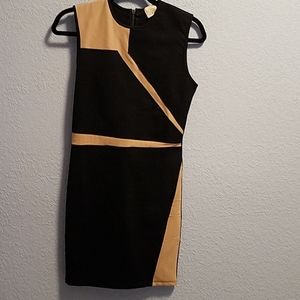 Ronny Kobo Dress with Accented Fabric